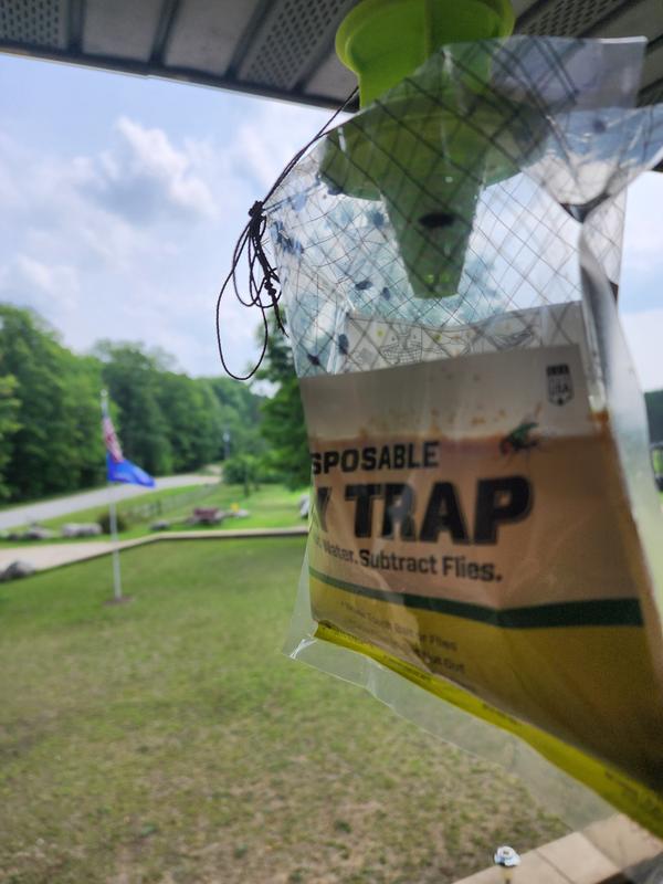 STARBAR Fly Relief Disposable Fly Trap