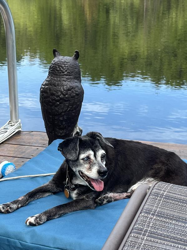 My 18 year old enjoying life on the dock!