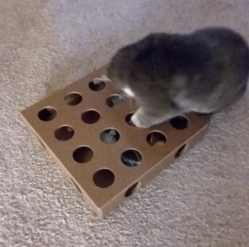 Loving Her Toy Box!