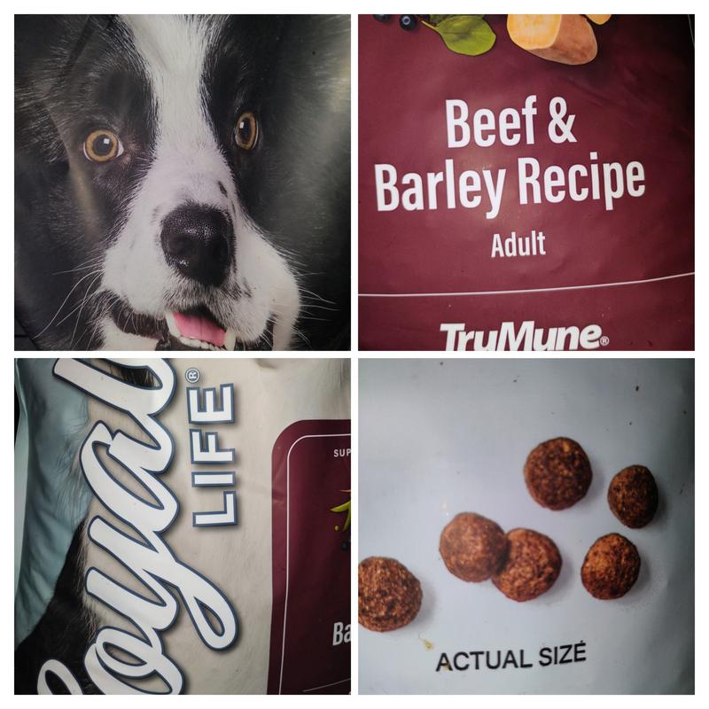 Nutrena Loyall Life Beef & Barley Adult Dog Chow