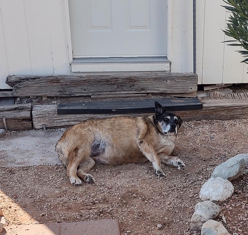 Thank you mom...I needed that.