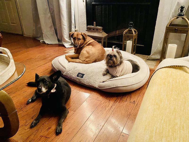 Lola Karen and Harry