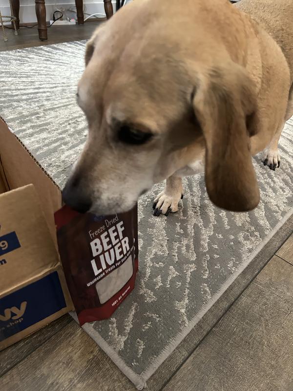 Winnie recognizes the Chewy box at this point.