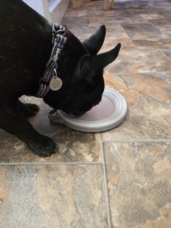 Even fully collapsed it is perfect size for the princess