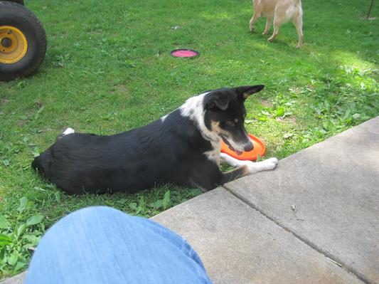 Emma likes her new frisbee