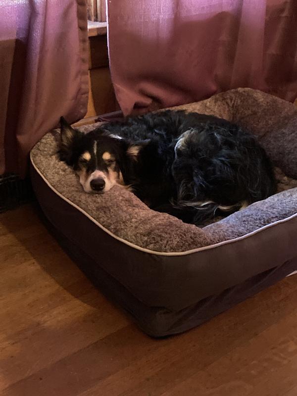 Marlo in her Big Girl bed
