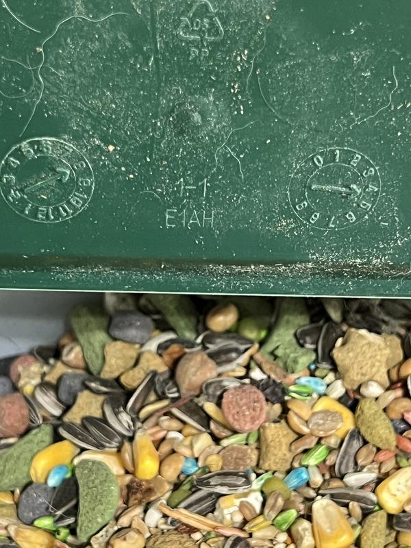 Dust and mold on lid