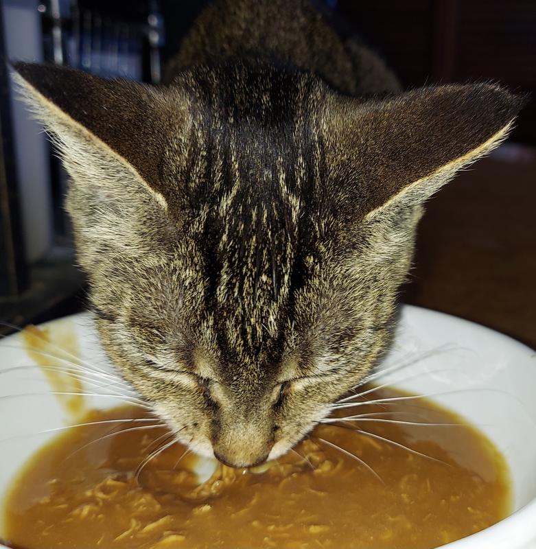 HARTZ Delectables Gravy Non Seafood Chicken Lickable Cat Treats, 1.4oz