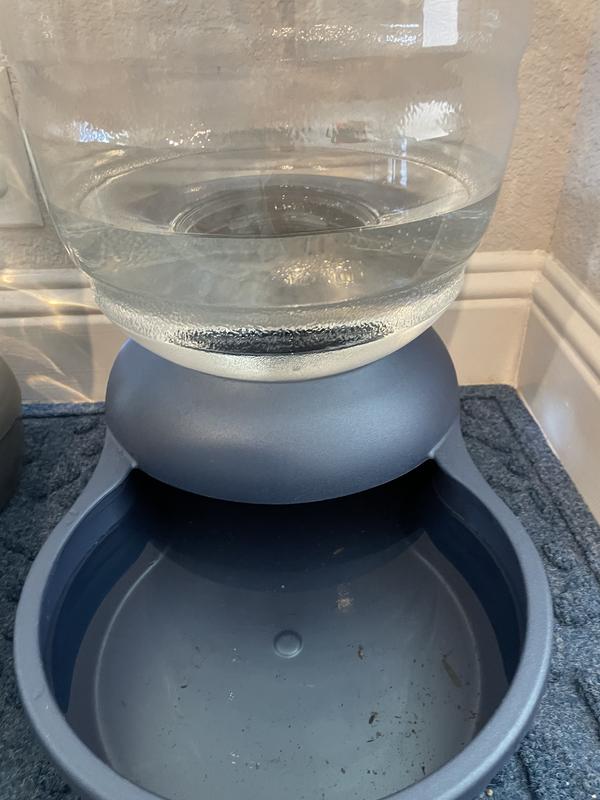 Petmate Replendish 2.5 Gallon Water Feeder With Microban  Pet Bowls & Food  Storage - Shop Your Navy Exchange - Official Site