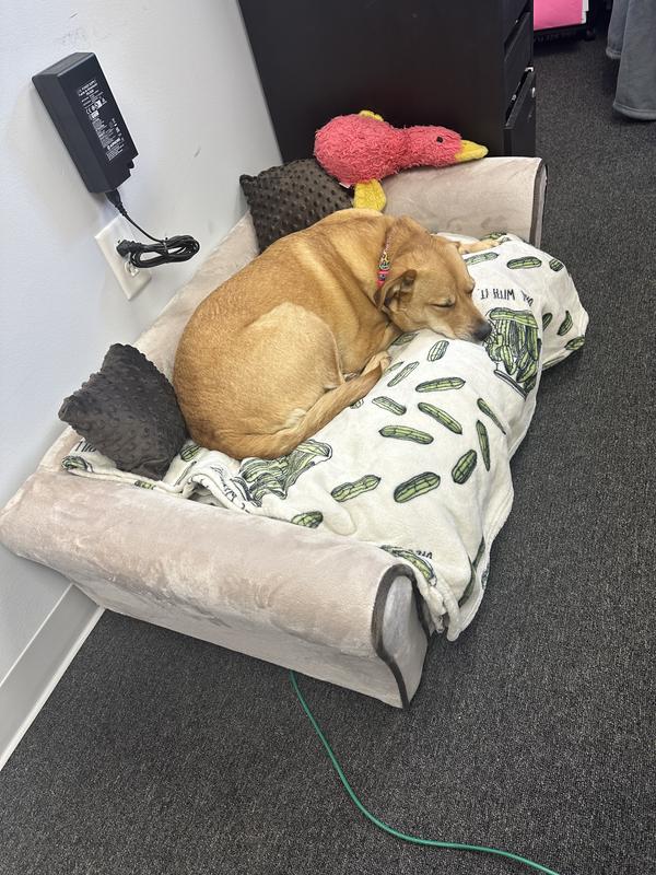 Keet Westerhill Sofa Cat & Dog Bed with Removable Cover