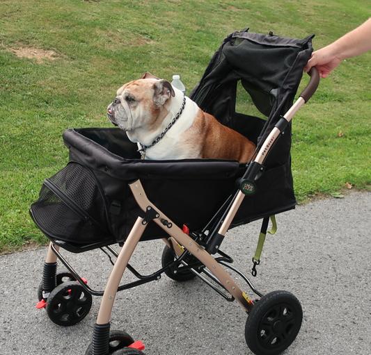Product Reviews for HPZ Pet Rover Premium Expandable No-Zip Pet Stroller,  X-Large
