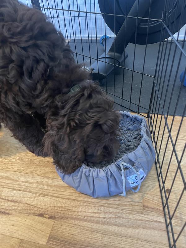 PET PARENTS Forager Snuffle Mat & Slow Feeder Dog Bowl, Forest Grey