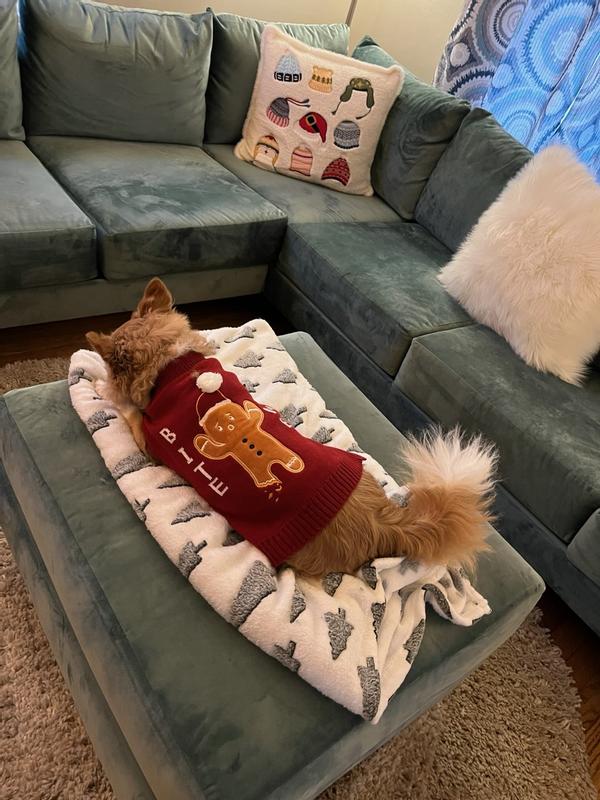 Frisco Bite Me Gingerbread Dog & Cat Christmas Sweater