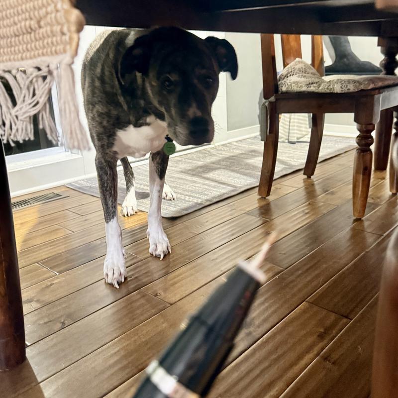 “Not that again, Mom!”