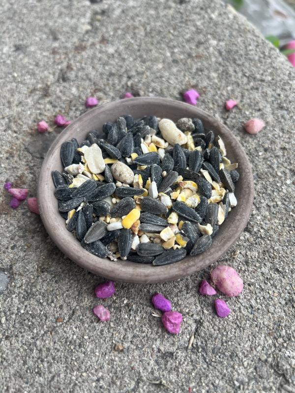 Bird seed mix in a dish.