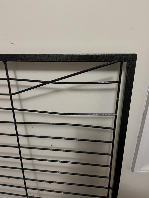 NOT made for a Macaw!