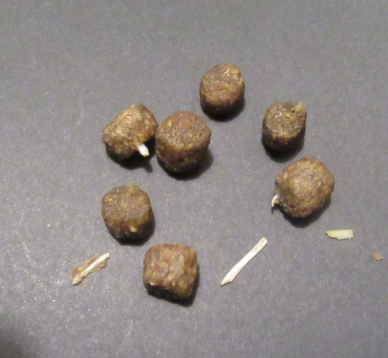 Fish bones in the kibble.