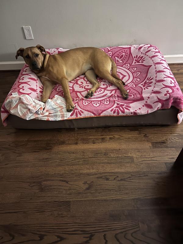 Can you turn off the lights already? It's time for my beauty sleep!