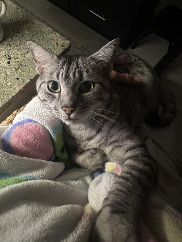 Happy after breakfast