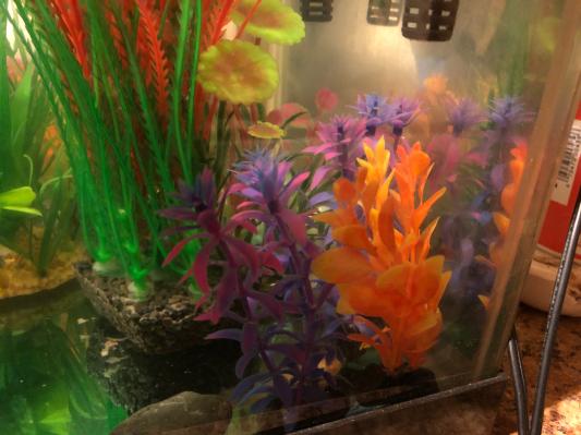 PENN-PLAX Betta Multi-Color Aquarium Plants, 6 count 