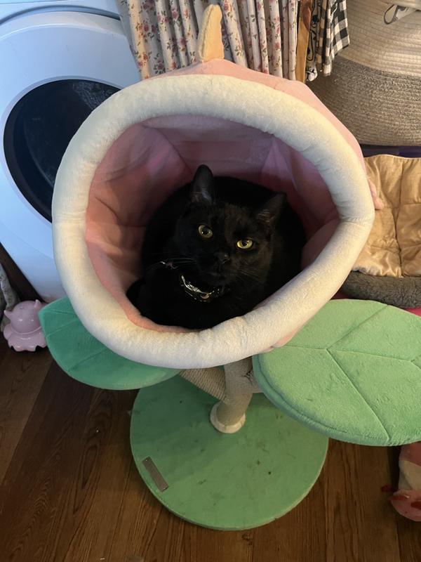 Lucifer says it’s nice and cozy!