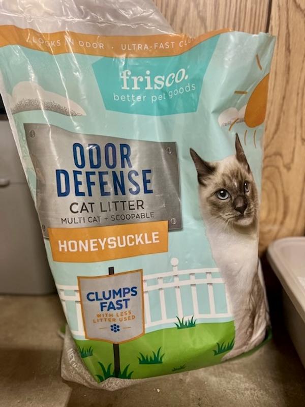 Odor defense clearance cat litter review