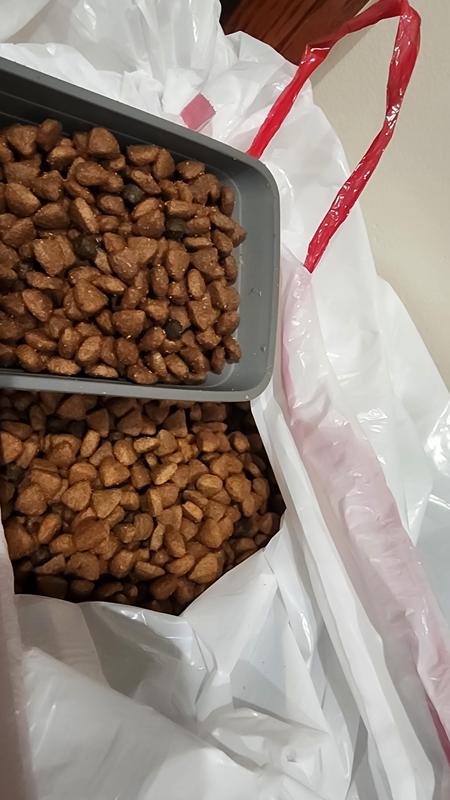 You can see a clear difference between today's delivery and last months that made my dogs sick.