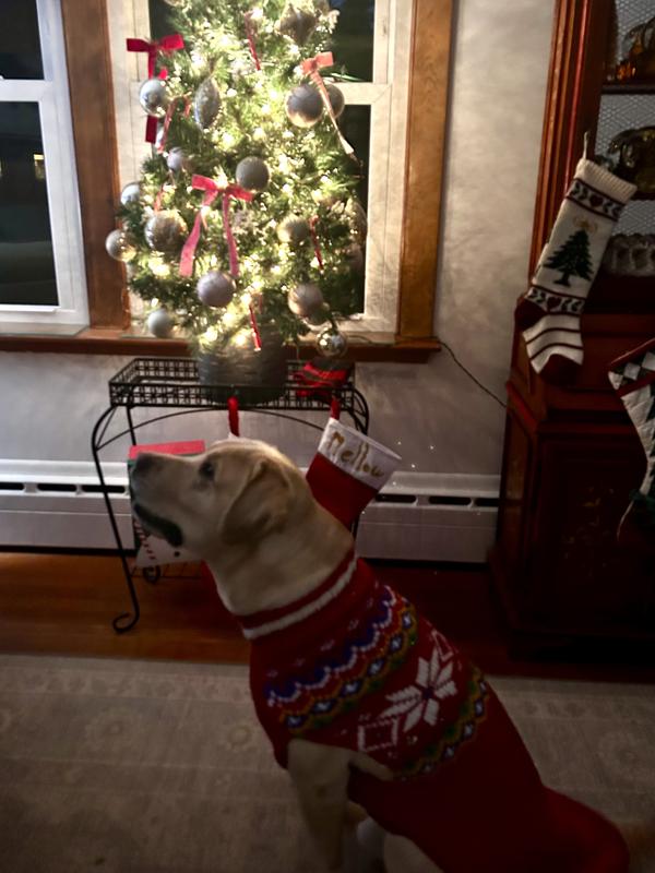 Perfect holiday sweater :)