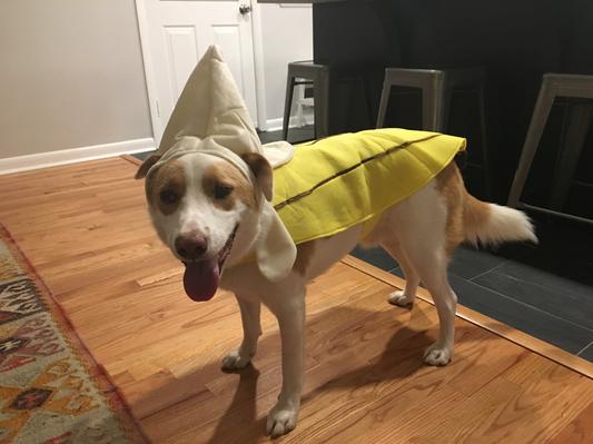 He is a cutie banana, but just can't move.