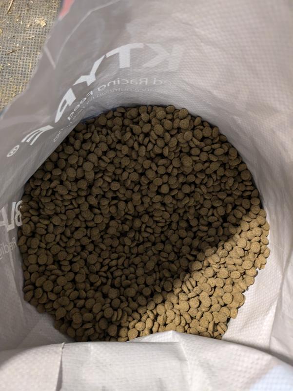 Photo of the pellets