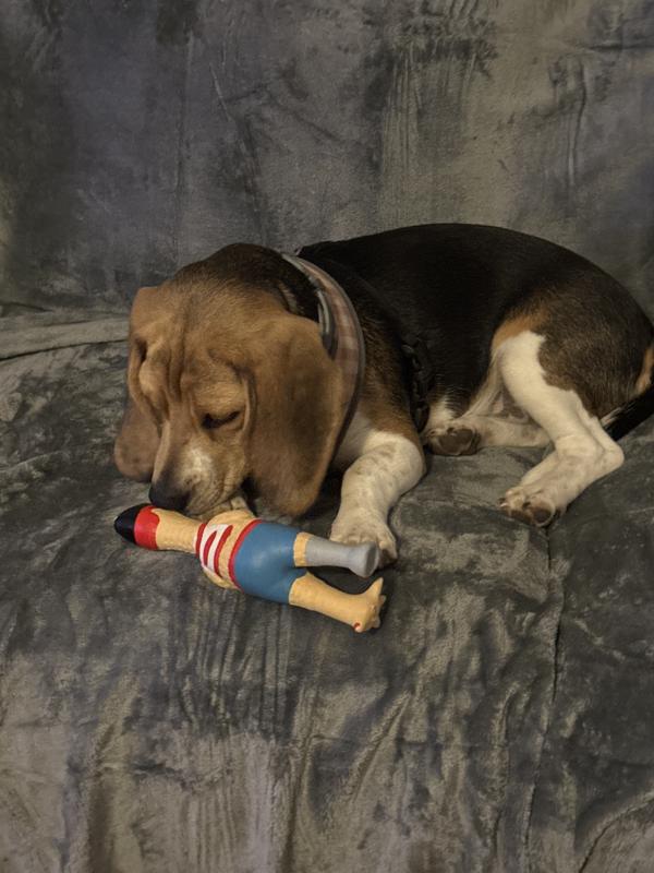 Bailey and Chicken Man