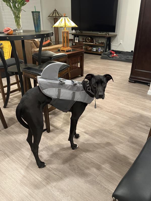 Life Jacket for Gemi