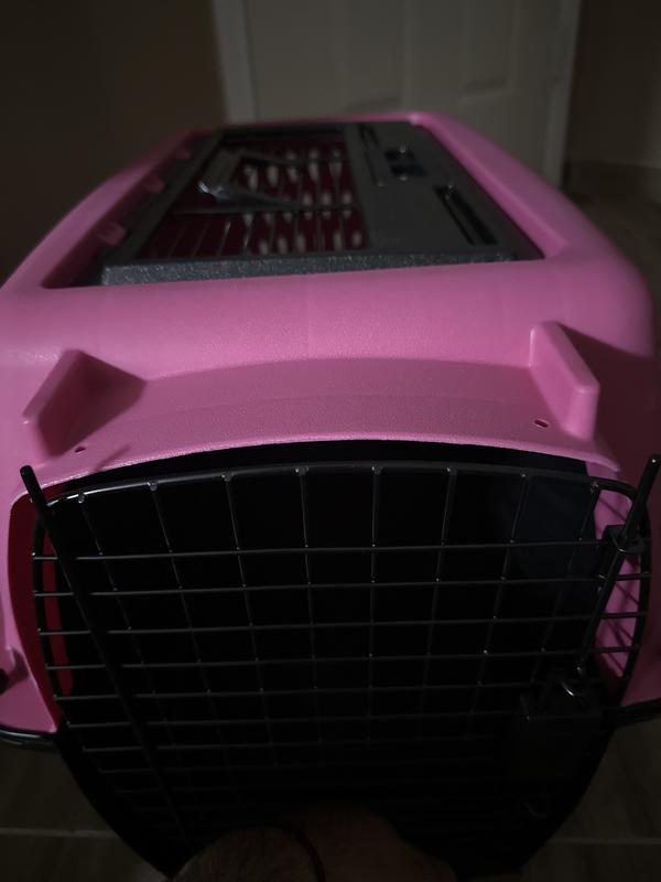 FRISCO Two Door Top Load Plastic Dog Cat Kennel Pink 24 in Chewy