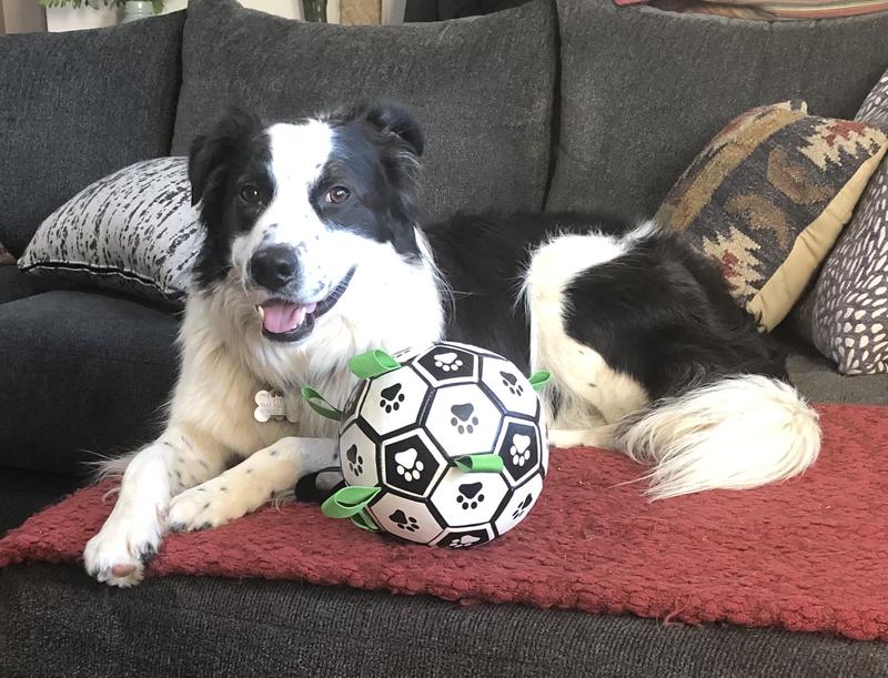 Loves the game, and loves Chewy