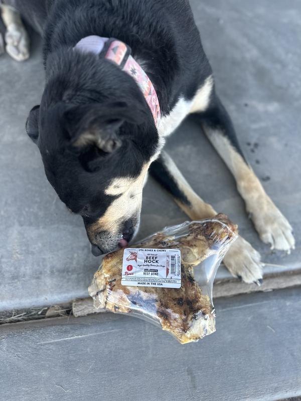 Bones & Chews Made in USA Beef Hock Bone Dog Treat