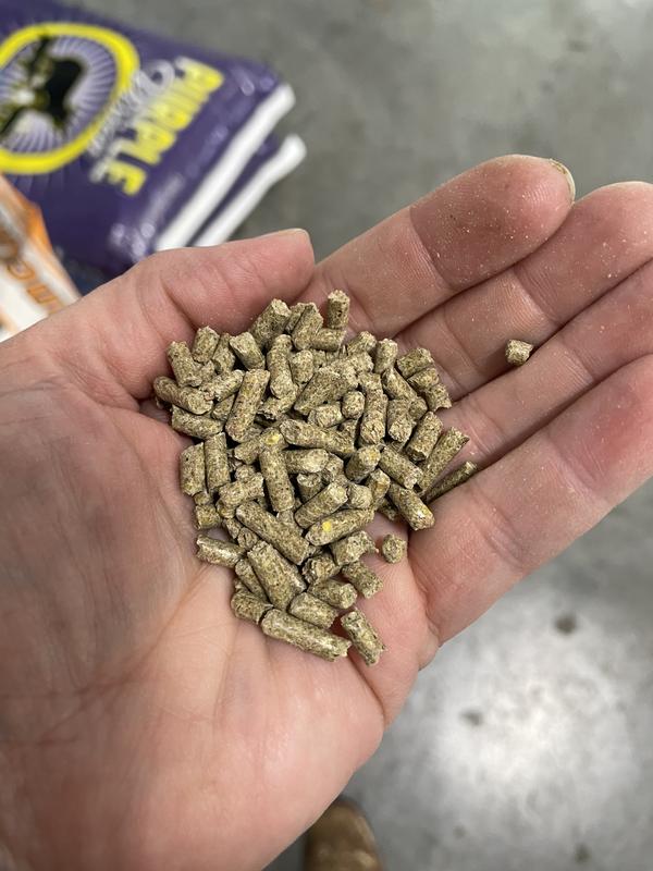 Pellets are similar size/shape to other feeds