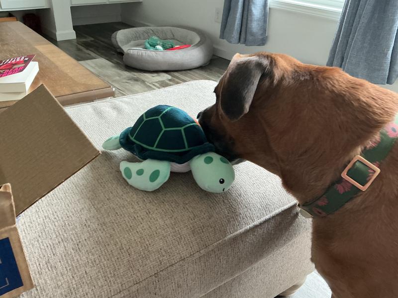 Oh boy!  This is mine?!!!