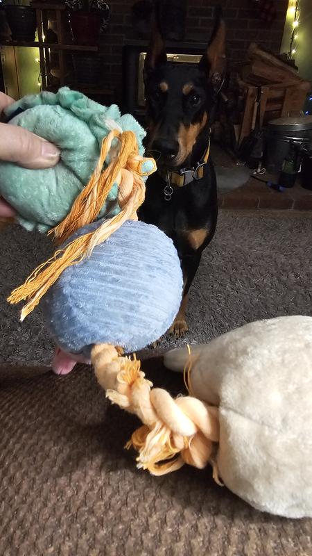 Opps rope comes apart