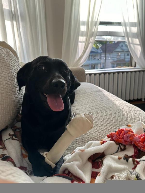 She says thank you grandma