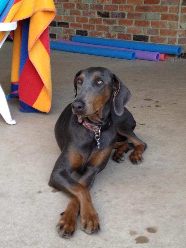 Willow in her younger days.