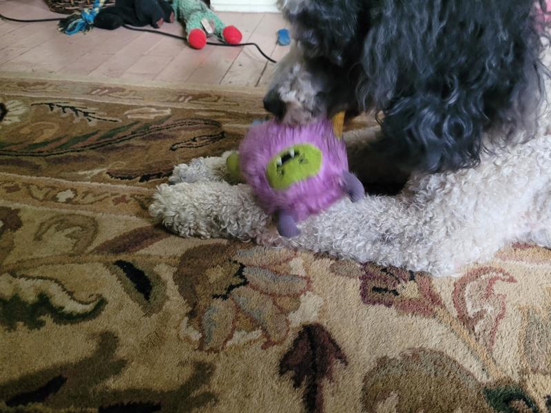 Meribel has officially claimed the monster as hers