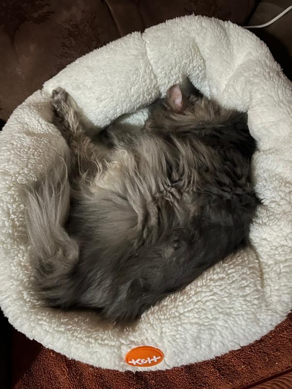 Soaking up the heat.