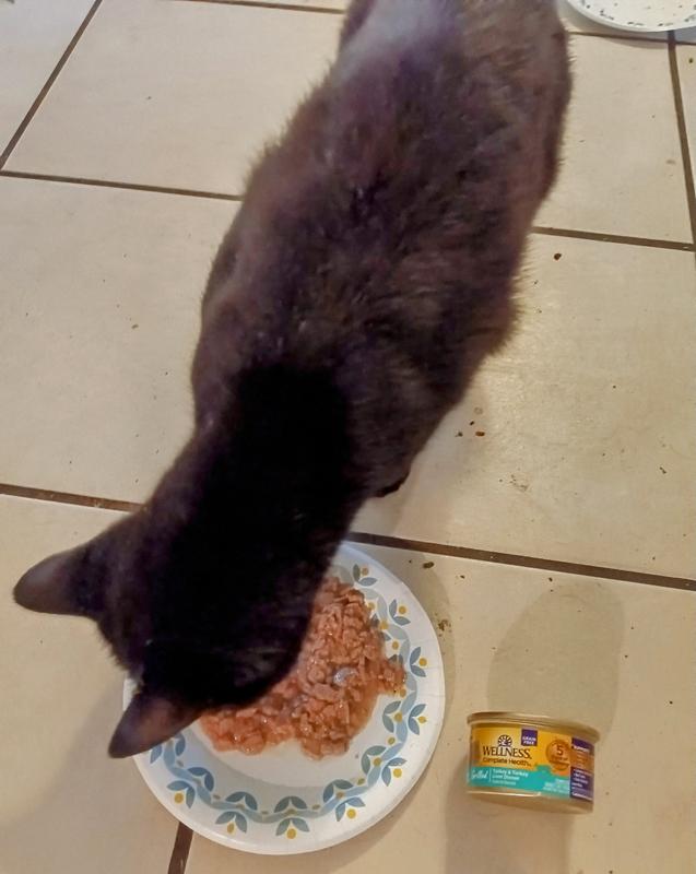 Spook loving Wellness Grilled Turkey &Liver