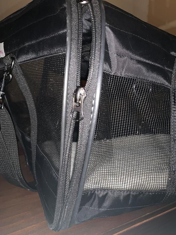 FRISCO Premium Travel Bag Dog & Cat Carrier, Black, Medium