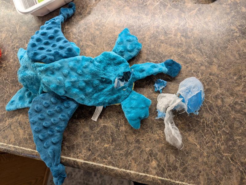 When he got the squeaker out. Took a few hours