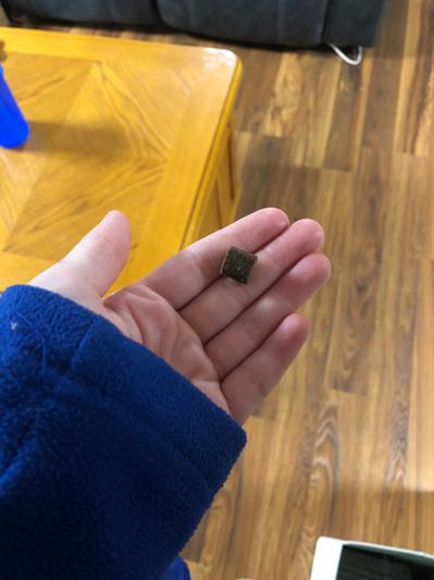 Perfect training treat size