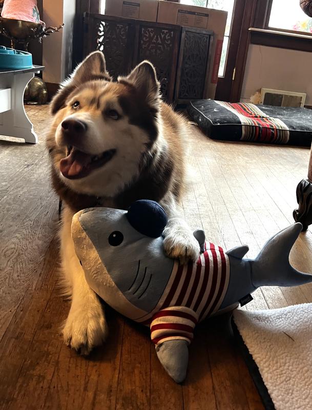 Gonna need a bigger boat!