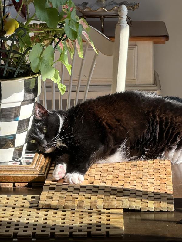 Another day of relaxing