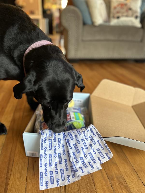 GOODY BOX Chewy Dog Toys, Treats, & Bandana reviews 