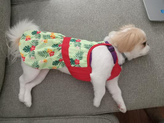 Hangin' around......